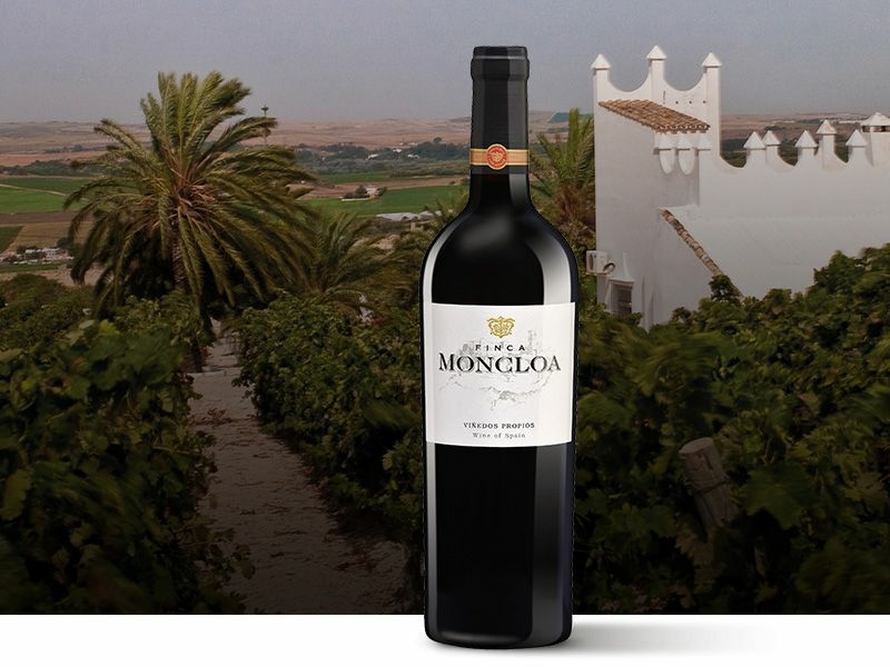 https://p.winelist.nl/media/cache/16x9_thumb/media/image/article-overview/30-Finca-Moncloa-blogbanner1.jpg