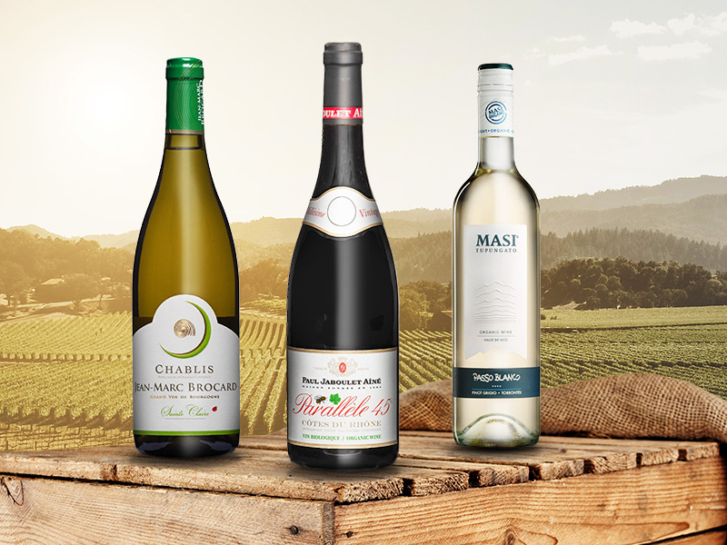 https://p.winelist.nl/media/cache/16x9_thumb/media/image/article-overview/blogbanner-bio-wijnen.jpg