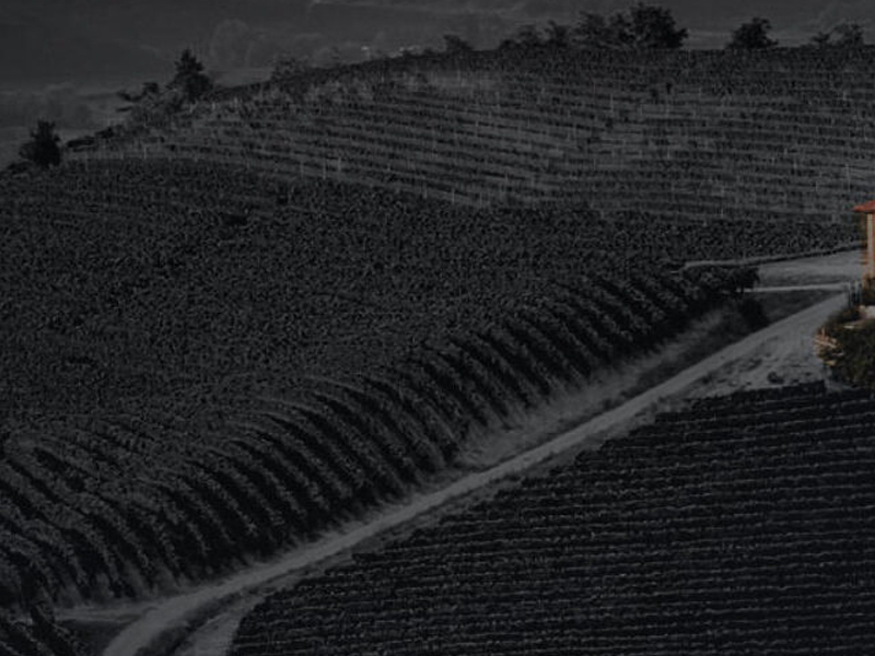 https://p.winelist.nl/media/cache/16x9_thumb/media/image/article-overview/prunotto-glas-blogbanner-z-tekst.jpg