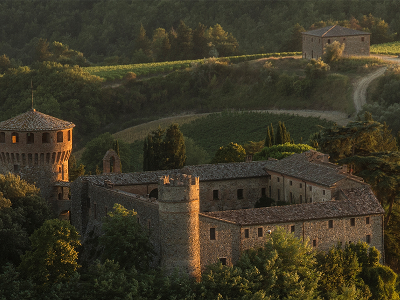 https://p.winelist.nl/media/cache/16x9_thumb/media/image/article-subscriiption-banner/castello-della-sala-blogbannero.jpg