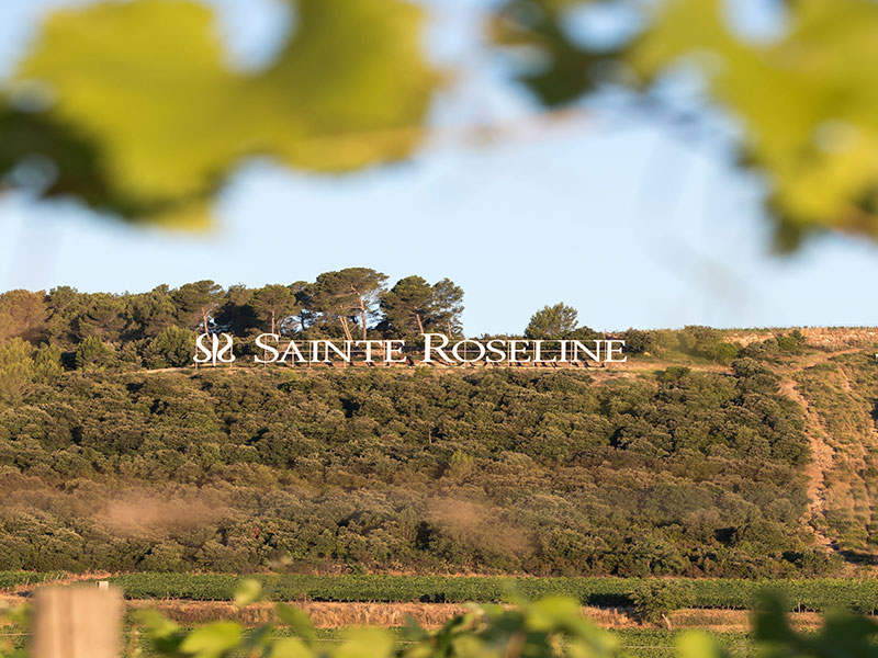 https://p.winelist.nl/media/cache/16x9_thumb/media/image/brand-banner/Banner_estate_5.jpg