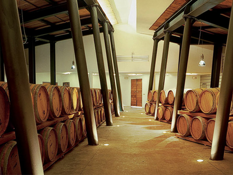 https://p.winelist.nl/media/cache/16x9_thumb/media/image/brand-banner/Banner_groot_Umani_Ronchi_2.jpg