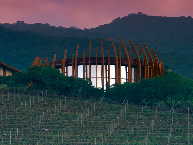 https://p.winelist.nl/media/cache/16x9_thumb/media/image/brand-banner/CLOS_apalta_estate_groot_3.jpg