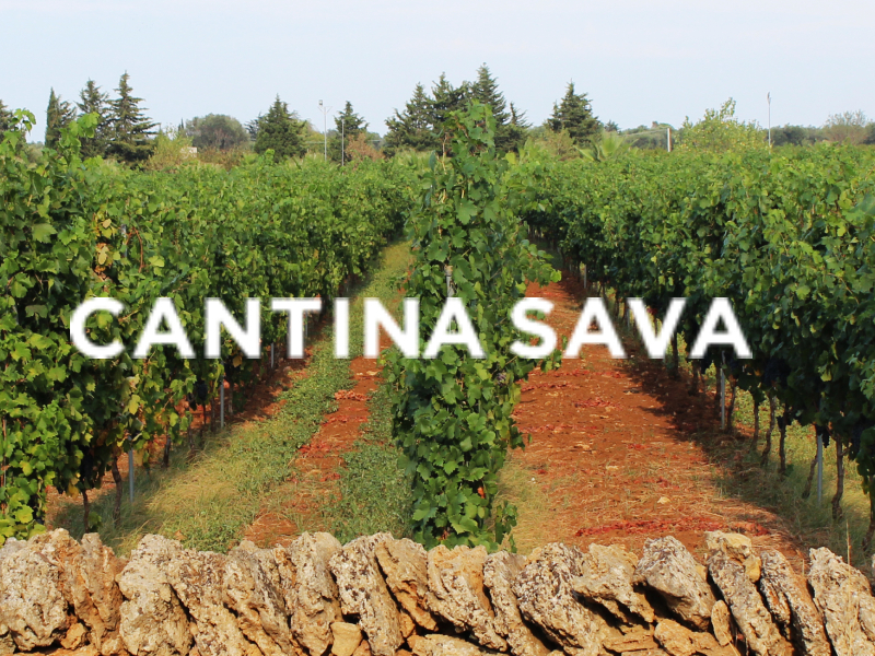 https://p.winelist.nl/media/cache/16x9_thumb/media/image/brand-banner/Cantina_SavA_blogbanner.jpg