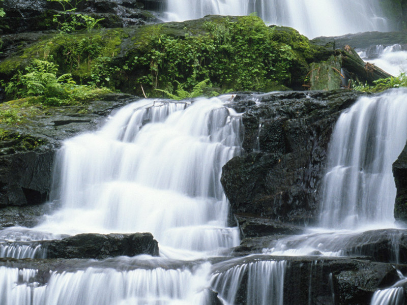 https://p.winelist.nl/media/cache/16x9_thumb/media/image/brand-banner/ChateauSte.Michelle_waterval.jpg