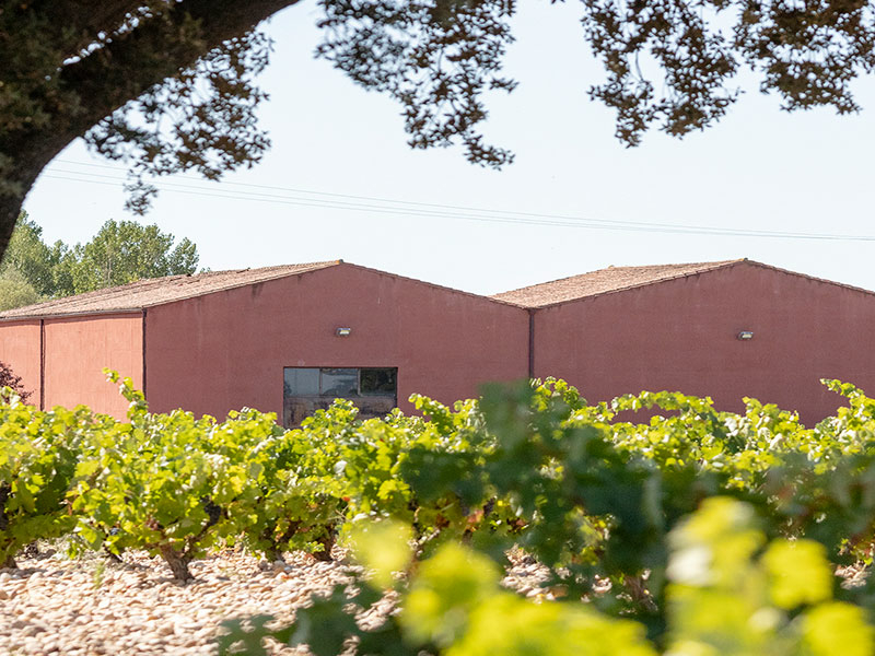 https://p.winelist.nl/media/cache/16x9_thumb/media/image/brand-banner/Dominio_Fournier_wijnhuis.jpg