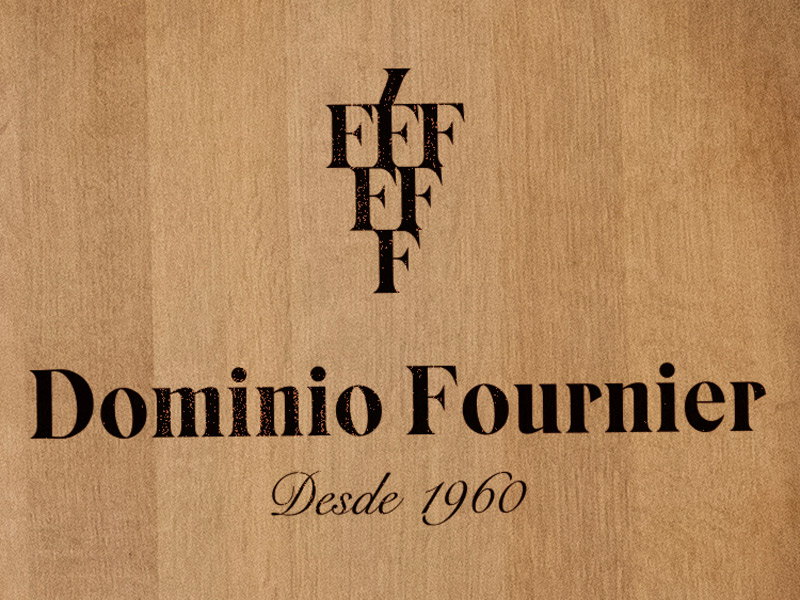 https://p.winelist.nl/media/cache/16x9_thumb/media/image/brand-banner/Dominiofournier_wijnton.jpg