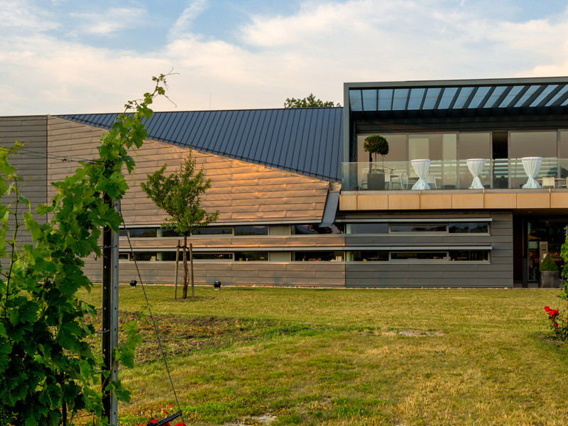 https://p.winelist.nl/media/cache/16x9_thumb/media/image/brand-banner/Esterhazy_wijnhuis.jpg
