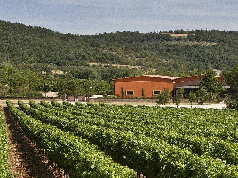 https://p.winelist.nl/media/cache/16x9_thumb/media/image/brand-banner/Fattoria_aldo_wijnhuis.jpg