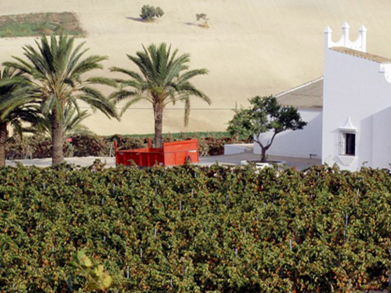 https://p.winelist.nl/media/cache/16x9_thumb/media/image/brand-banner/Fincamoncloa_estate.jpg