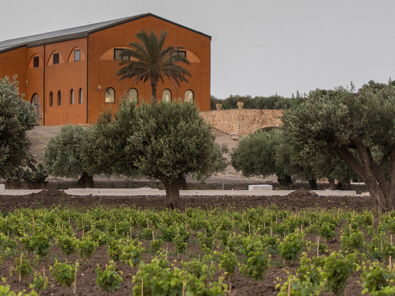 https://p.winelist.nl/media/cache/16x9_thumb/media/image/brand-banner/Fuedomaccari_estate.jpg