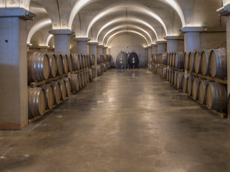 https://p.winelist.nl/media/cache/16x9_thumb/media/image/brand-banner/Fuedomaccari_wijnkelder.jpg