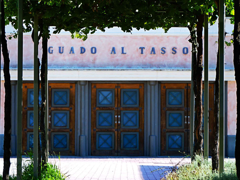 https://p.winelist.nl/media/cache/16x9_thumb/media/image/brand-banner/GuadoalTasso_estate.jpg