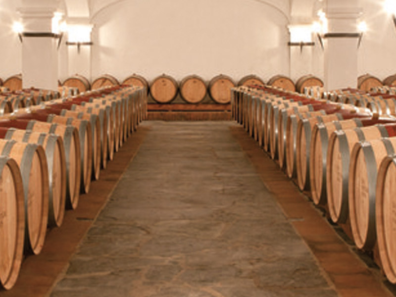 https://p.winelist.nl/media/cache/16x9_thumb/media/image/brand-banner/JoaoPortugalRamos_wijnkelder.jpg