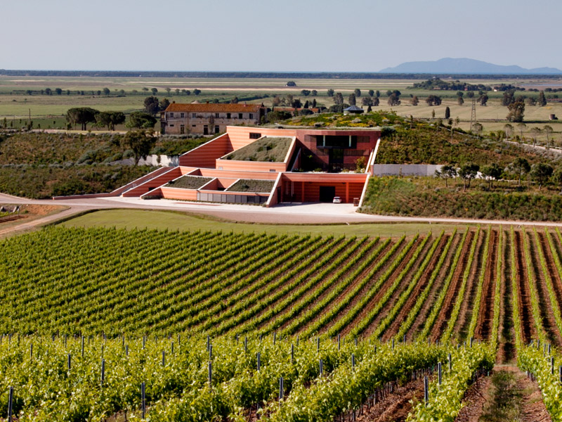 https://p.winelist.nl/media/cache/16x9_thumb/media/image/brand-banner/Lemortelle_estate.jpg