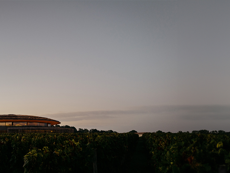 https://p.winelist.nl/media/cache/16x9_thumb/media/image/brand-banner/Maltus_blogbanner_z_tekst.jpg