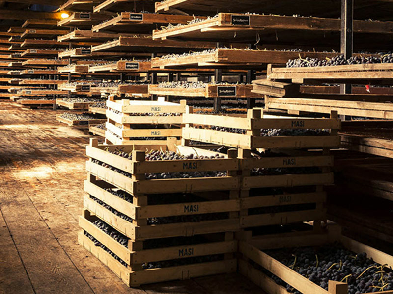 https://p.winelist.nl/media/cache/16x9_thumb/media/image/brand-banner/Masi_Estate_Banner_groot_2.jpg
