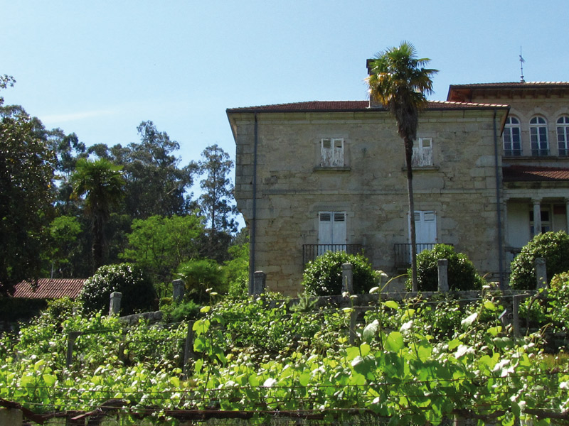 https://p.winelist.nl/media/cache/16x9_thumb/media/image/brand-banner/Pazosdelusco_estate.jpg