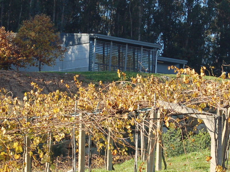 https://p.winelist.nl/media/cache/16x9_thumb/media/image/brand-banner/Pazosdelusco_wijngaard.jpg