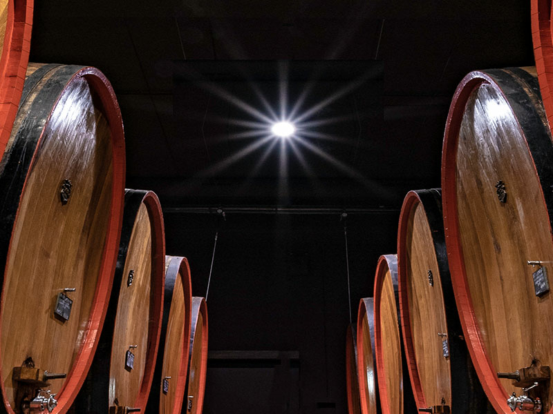 https://p.winelist.nl/media/cache/16x9_thumb/media/image/brand-banner/Peppoli_wijnton_banner.jpg