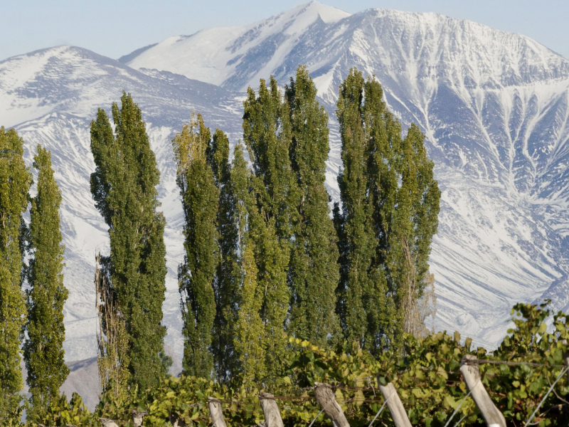 https://p.winelist.nl/media/cache/16x9_thumb/media/image/brand-banner/Perdriel_Brand_banner.jpg
