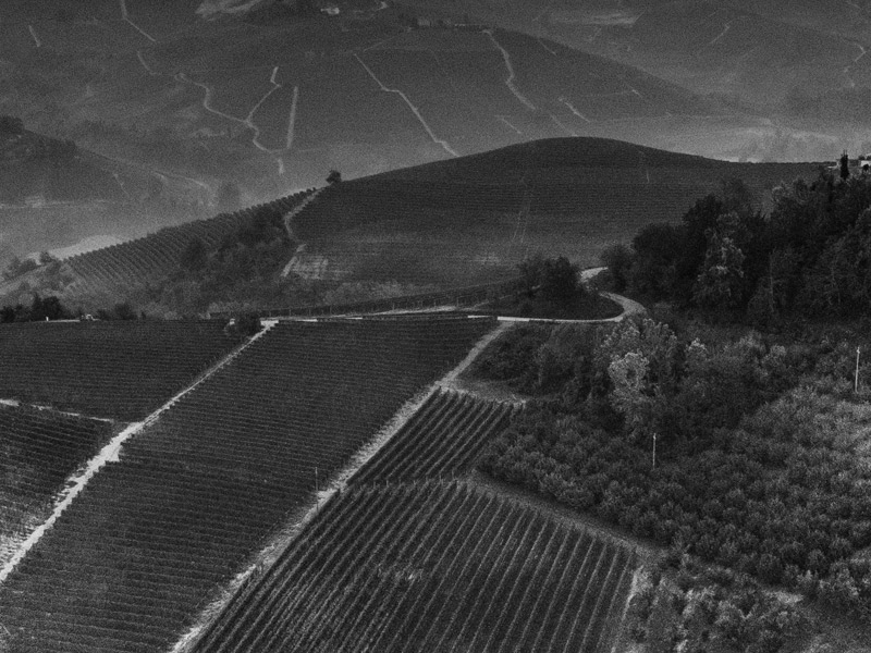 https://p.winelist.nl/media/cache/16x9_thumb/media/image/brand-banner/Prunotto_gebergte.jpg