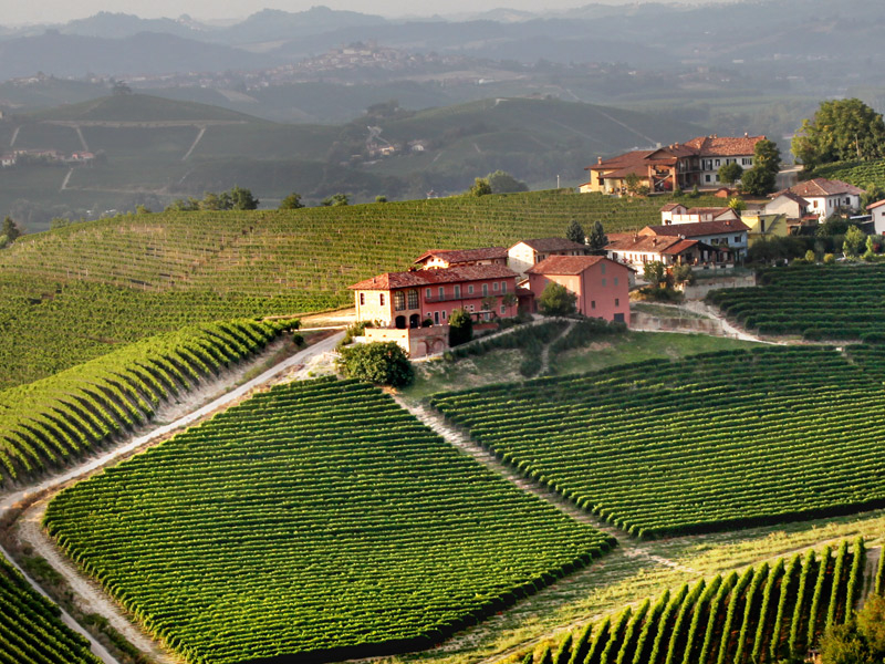 https://p.winelist.nl/media/cache/16x9_thumb/media/image/brand-banner/Prunotto_winery.jpg