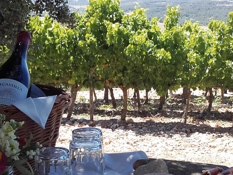 https://p.winelist.nl/media/cache/16x9_thumb/media/image/brand-banner/Secastilla_estate.jpg