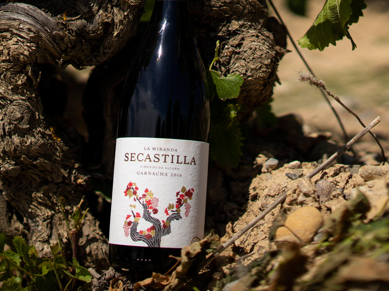 https://p.winelist.nl/media/cache/16x9_thumb/media/image/brand-banner/Secastilla_rock.jpg