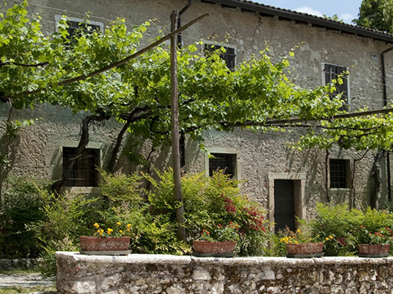 https://p.winelist.nl/media/cache/16x9_thumb/media/image/brand-banner/Seregho_Alighieri_Estate_Banner_groot_1.jpg