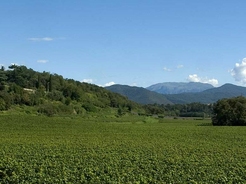 https://p.winelist.nl/media/cache/16x9_thumb/media/image/brand-banner/Tenuta_montenisa_Estate_view.jpg