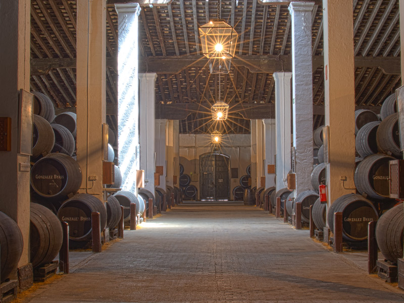 https://p.winelist.nl/media/cache/16x9_thumb/media/image/brand-banner/Tiopepe_wijnkelder.jpg