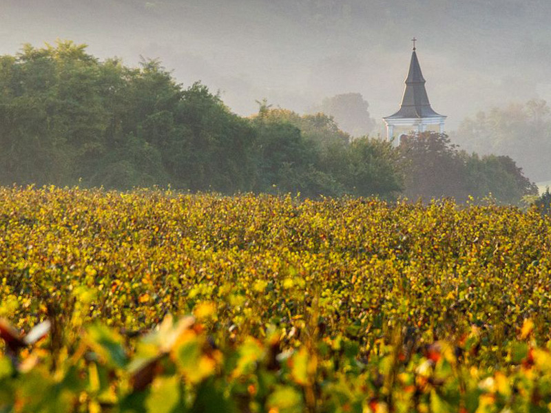 https://p.winelist.nl/media/cache/16x9_thumb/media/image/brand-banner/Tuzko_wijnhuis.jpg