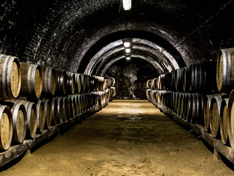 https://p.winelist.nl/media/cache/16x9_thumb/media/image/brand-banner/Tuzko_wijnkelder.jpg