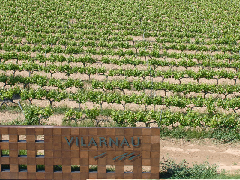 https://p.winelist.nl/media/cache/16x9_thumb/media/image/brand-banner/Vilarnau_druif.jpg