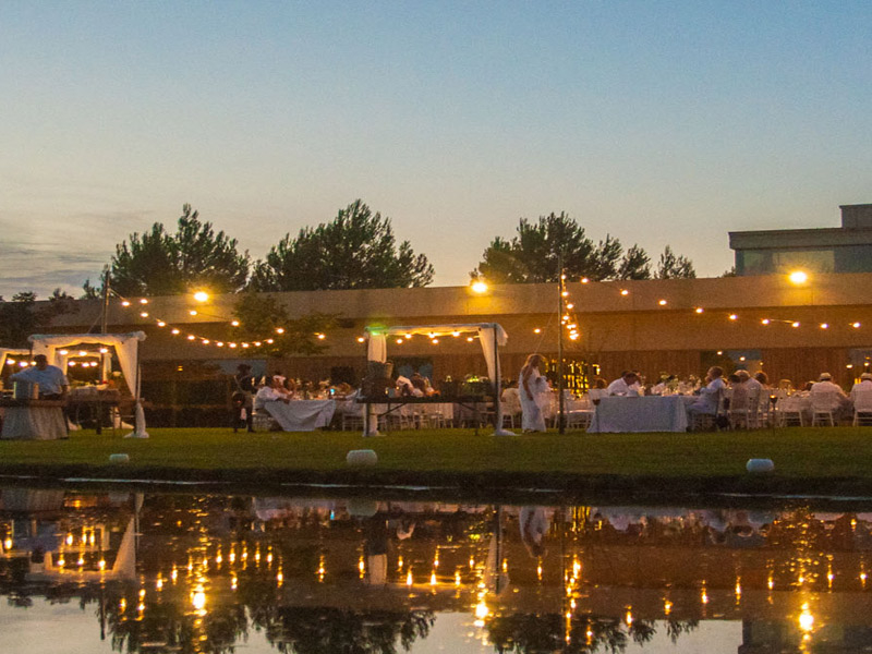 https://p.winelist.nl/media/cache/16x9_thumb/media/image/brand-banner/Vilarnau_wijnen.jpg