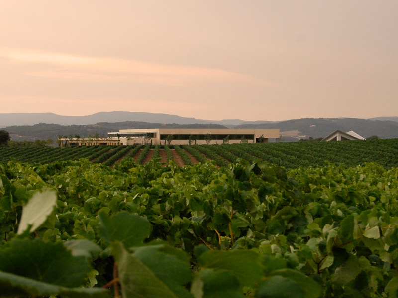 https://p.winelist.nl/media/cache/16x9_thumb/media/image/brand-banner/Vilarnau_wijnestate.jpg