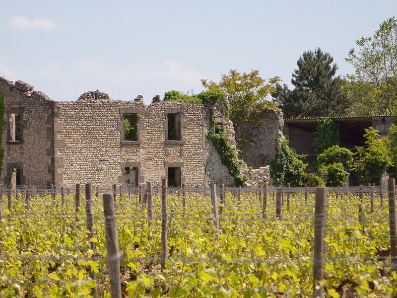 https://p.winelist.nl/media/cache/16x9_thumb/media/image/brand-banner/banner-1920-600-1.jpg