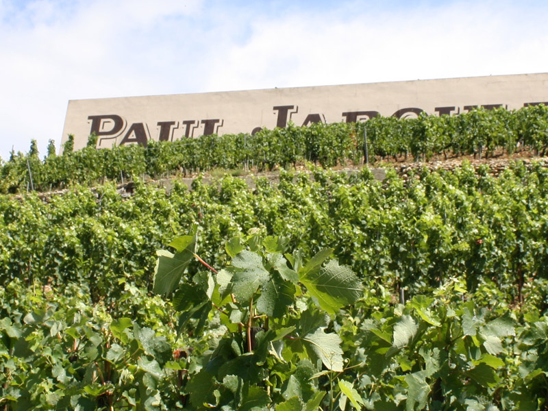 https://p.winelist.nl/media/cache/16x9_thumb/media/image/brand-banner/banner-1920-600-2.jpg