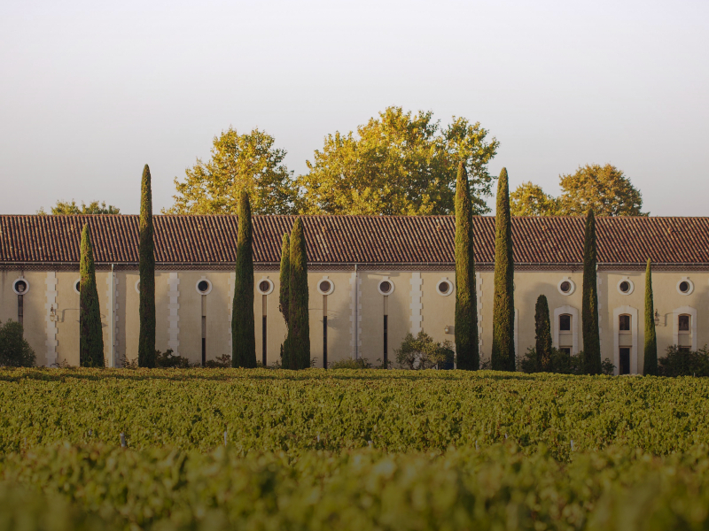 https://p.winelist.nl/media/cache/16x9_thumb/media/image/brand-banner/chateau_clarke_blogbanner_z_tekst.jpg