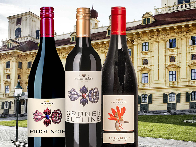https://p.winelist.nl/media/cache/16x9_thumb/media/image/brand-cta/39-Esterhazy-Adelijk-goede-wijnen.jpg