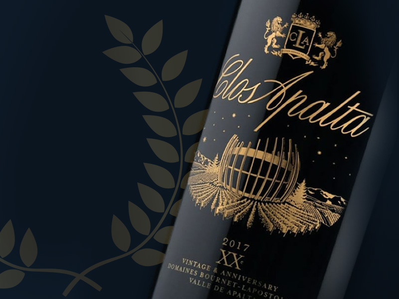 https://p.winelist.nl/media/cache/16x9_thumb/media/image/brand-cta/41-Clos-Apalta-2017.jpg