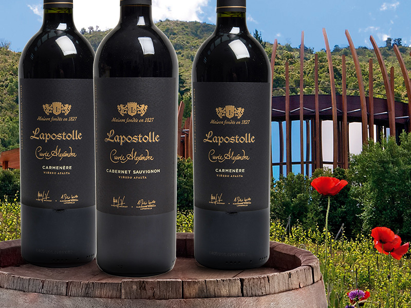 https://p.winelist.nl/media/cache/16x9_thumb/media/image/brand-cta/75-Wereldklasse-wijnen-van-Lapostolle.jpg