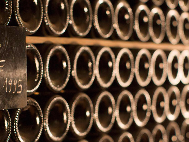 https://p.winelist.nl/media/cache/16x9_thumb/media/image/brand-cta/Masi-banner--3-1920-600.jpg