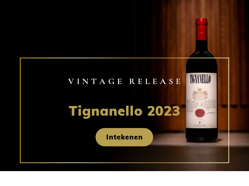 https://p.winelist.nl/media/cache/16x9_thumb/media/image/home-banner/Tignanello%202023_blogbanner.jpg