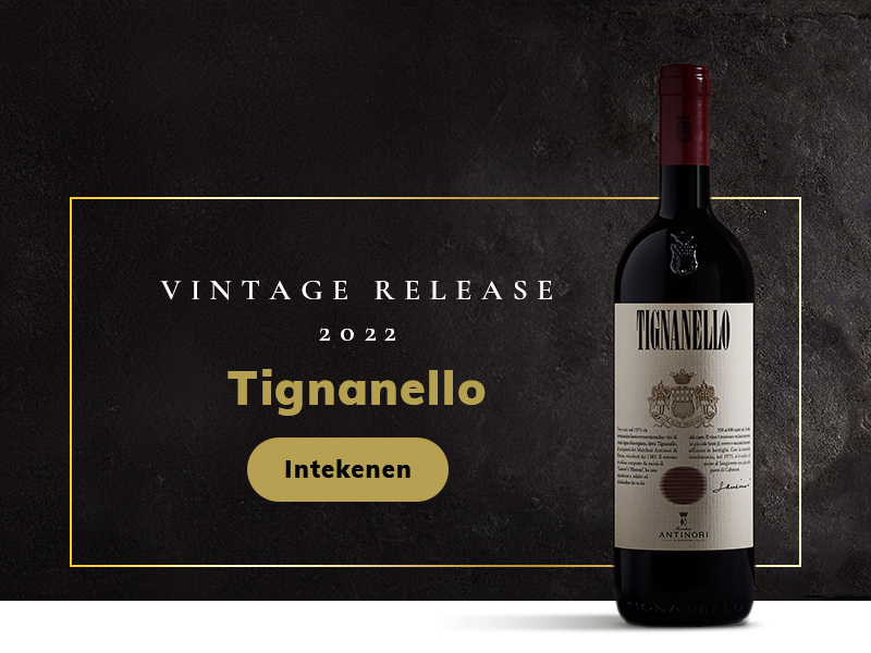 https://p.winelist.nl/media/cache/16x9_thumb/media/image/home-banner/Tignanello_2022_Blogbanner-2.jpg