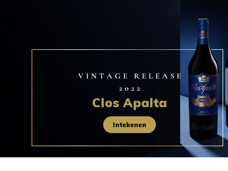 https://p.winelist.nl/media/cache/16x9_thumb/media/image/home-banner/clos_apalta_2022_blogbanner_2.jpg