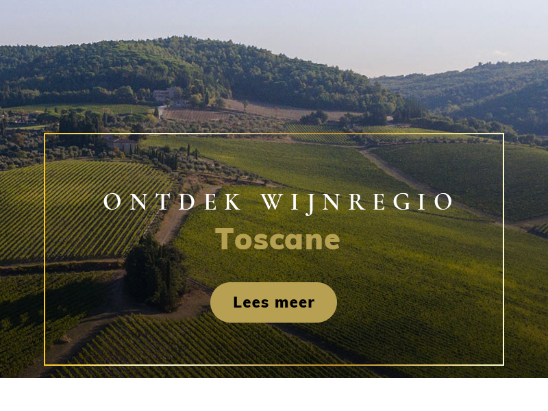 https://p.winelist.nl/media/cache/16x9_thumb/media/image/home-banner/toscane.jpg