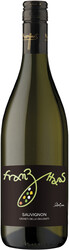 Franz Haas Sauvignon IGT