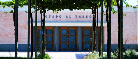 GuadoalTasso estate